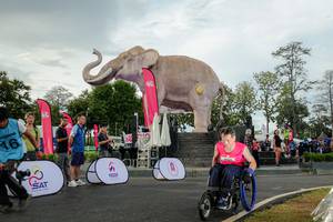 BIB: 
                            <button type="button" onclick="openModal(26528362)" class="btn btn-primary btn-sm float-right btn-popup" data-toggle="modal" data-target=".modal-high-quality">
                        <i class="fas fa-shopping-cart"></i> Add to Cart
                    </button>
                                            <button type="button" onclick="isThisMe(26528362, true)" class="btn btn-success btn-sm float-right btn-popup btn-isme hidden" data-toggle="tooltip" data-placement="bottom" title="นี่คือรูปของคุณใช่ไหม คลิกที่นี่เพื่อเอาเข้าอัลบั้ม">
                        <i class="fas fa-plus"></i> Add to album
                    </button>
                    <button type="button" onclick="isThisMe(26528362, false)" class="btn btn-warning btn-sm float-right btn-popup btn-isnotme hidden">
                        <i class="fas fa-ban"></i> Remove from album
                    </button>